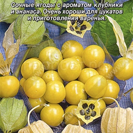 Аэлита Физалис Золотая россыпь 0,2г