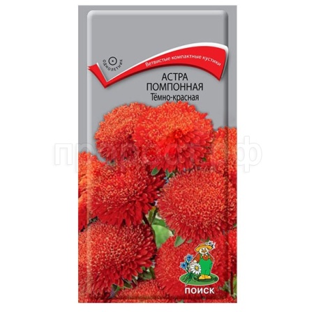 Астра помпонная Темно-красная 0,3г