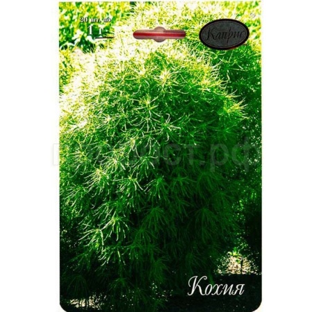 Кохия Королевский замок 20*1 