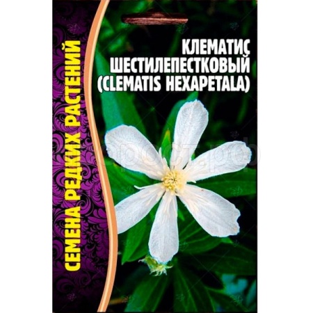 Редкие растения Клематис Шестилепестковый (Clematis hexapetala) 10шт