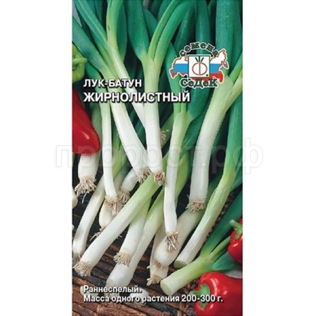 Седек Лук батун Жирнолистный 1г 