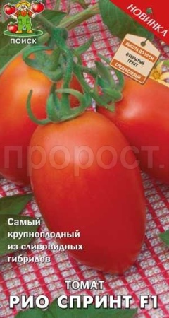 Поиск Томат Рио спринт F1 12шт 