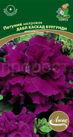 Петуния махровая Дабл каскад бургунди 10шт