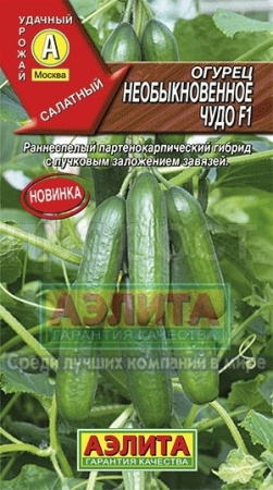 Аэлита Огурец Необыкновенное чудо F1 10шт
