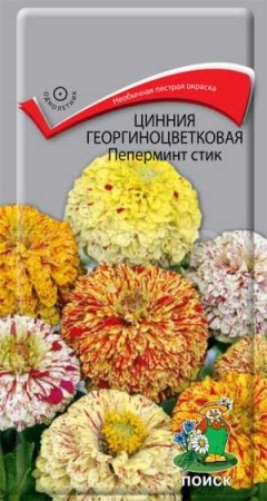 Цинния георгиноцветковая Пеперминт стик 0,4г