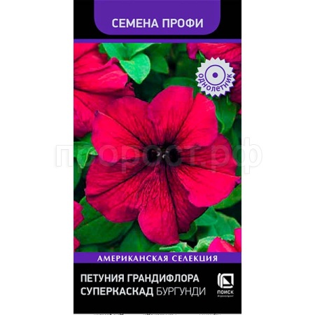 Петуния грандифлора Суперкаскад Бургунди 10шт