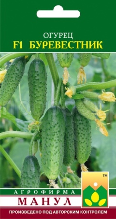 Огурец Буревестник F1 10 шт