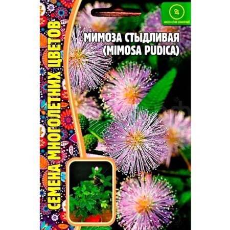 Редкие растения Мимоза стыдливая (Mimosa pudica) 20шт 